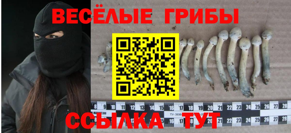 Псилоцибиновые грибы прущие грибы Уварово